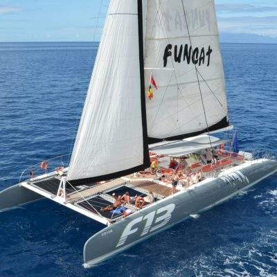 Excursion 4.5 horas Freebird - Excursion en bateau à Los Gigantes à Tenerife avec Freebird