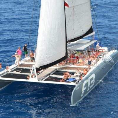 Excursion 4.5 horas Freebird - Excursion en bateau pour observer les baleines ou les dauphins à Tenerife avec Freebird