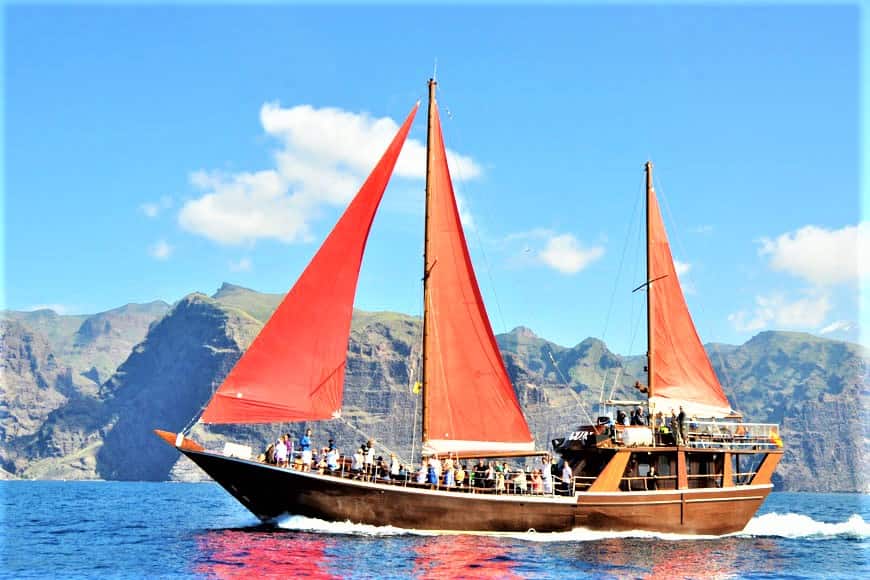 Excursion en bateau à Los Gigantes avec Shogun